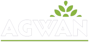 Logo Footer